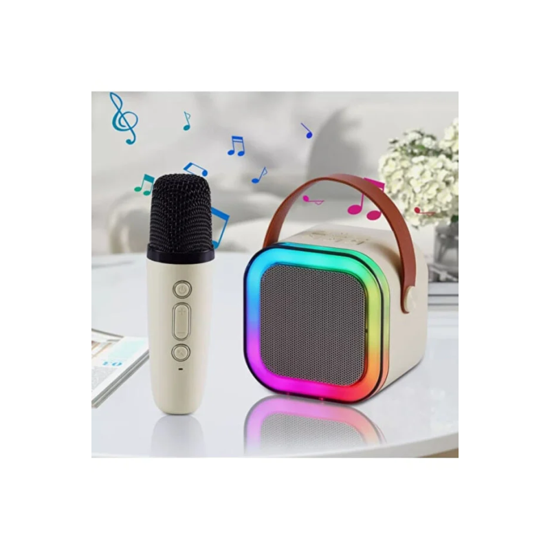 Kablosuz RGB Işıklı Taşın bilir Karaoke Hoparlör ve Mikrofon Seti