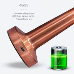 Modern Mantar Tasarım...