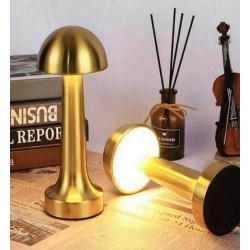 Modern Mantar Tasarım...